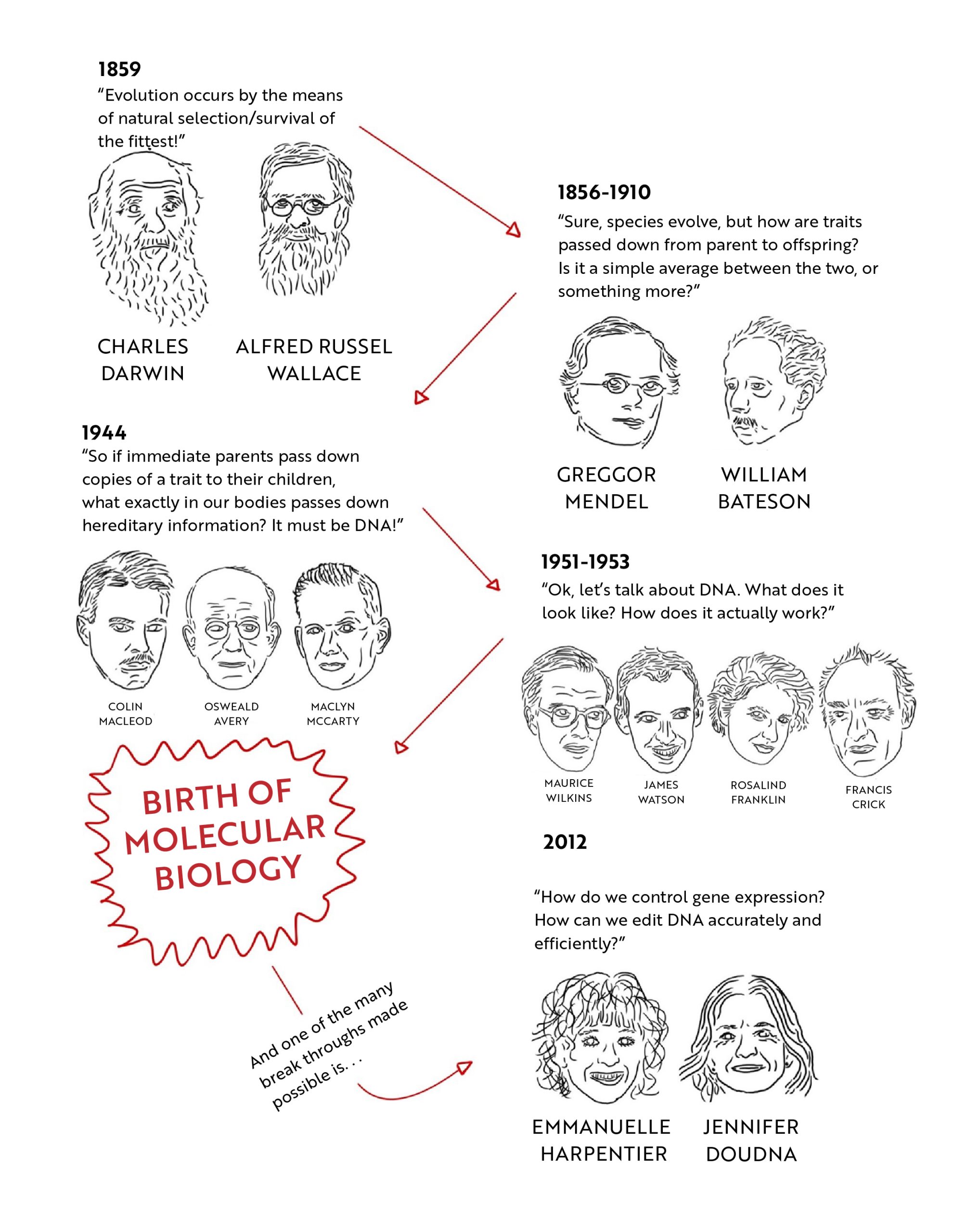 Gene Editing: A Primer