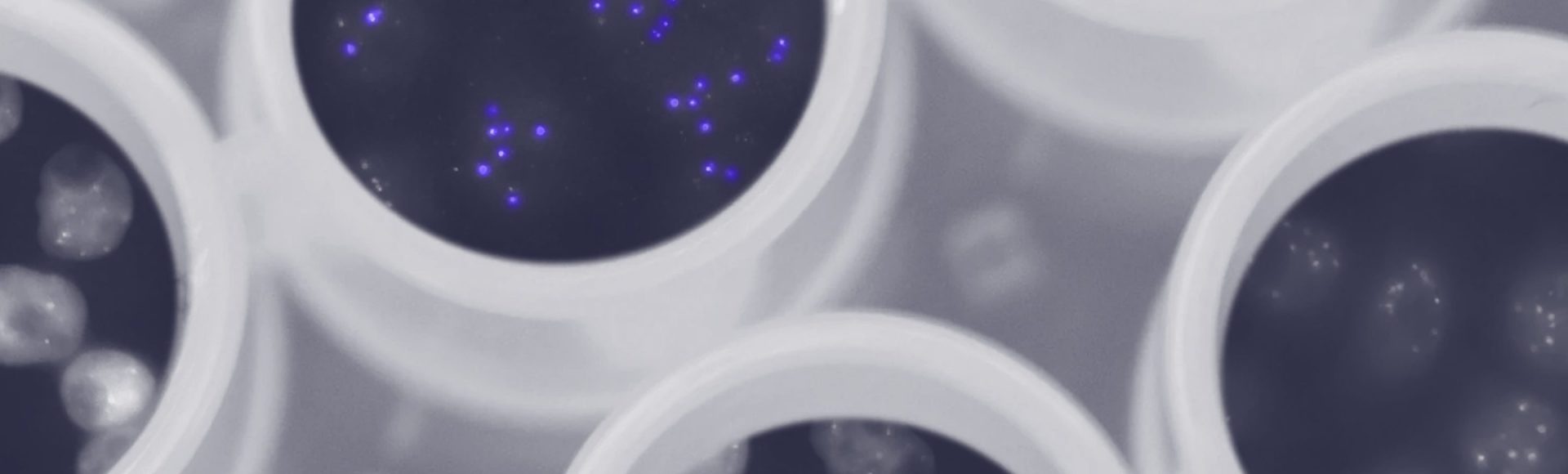 age of genomics, ark research, genomic age