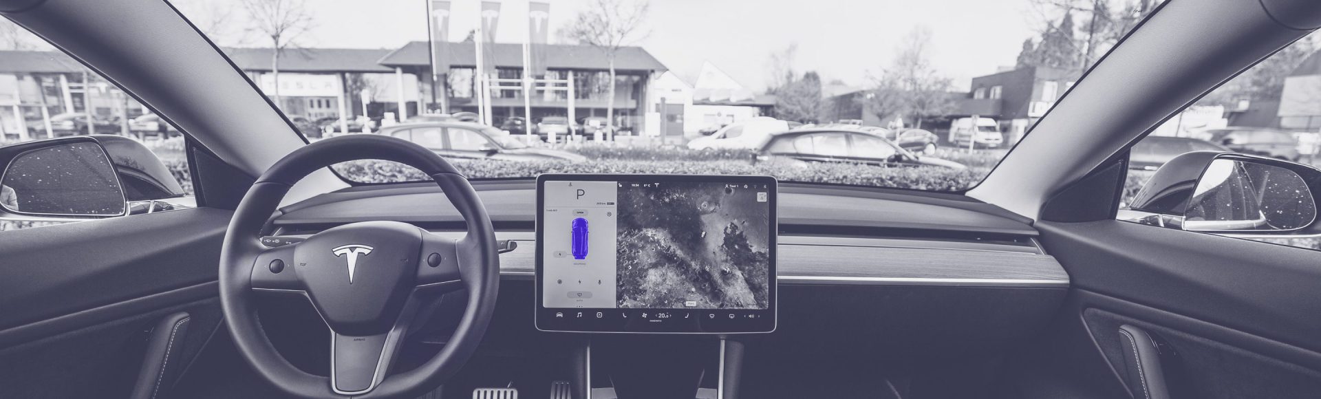 Tesla, Ridehailing, Autonomous